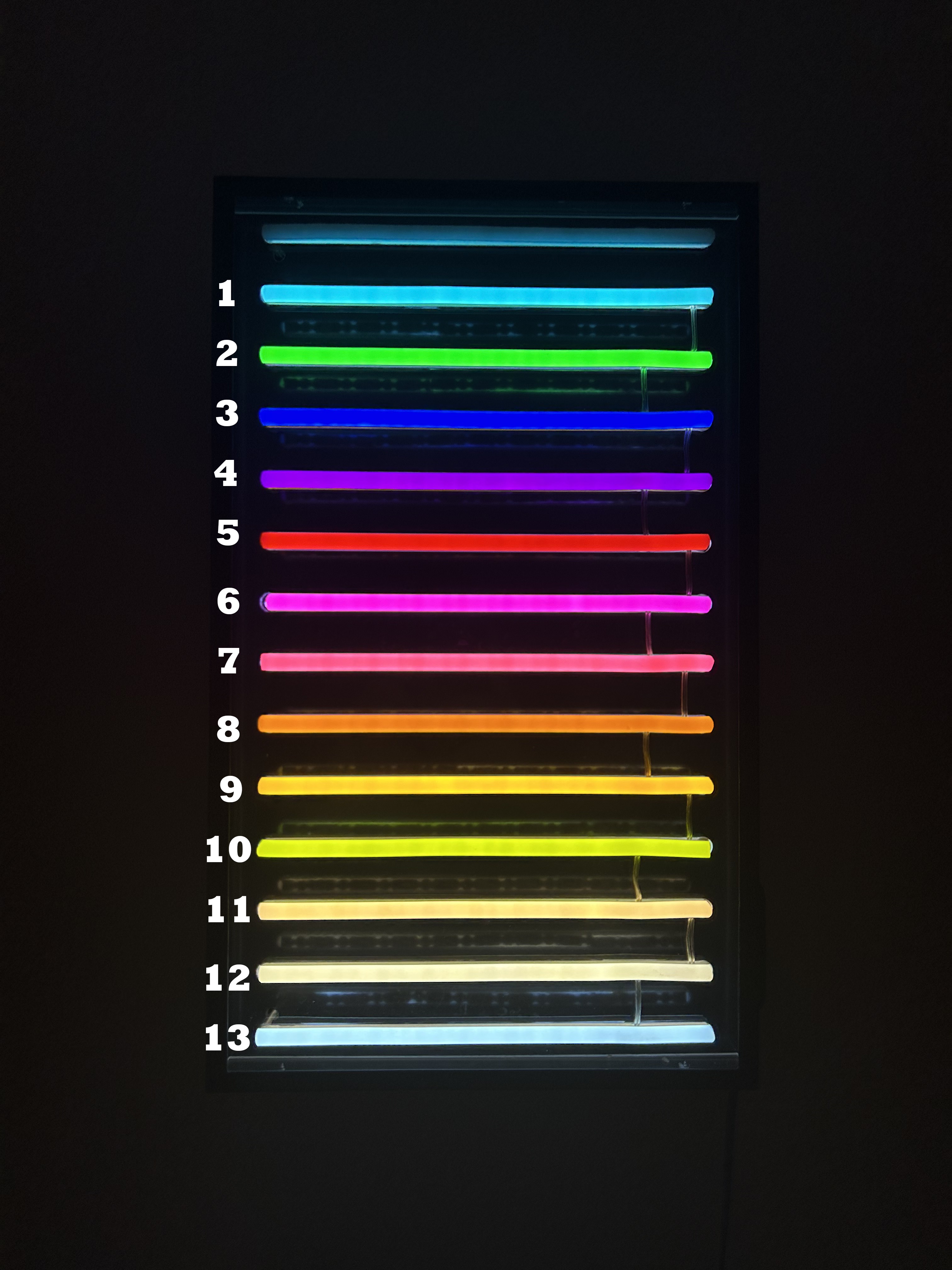 LED Neon Barvy